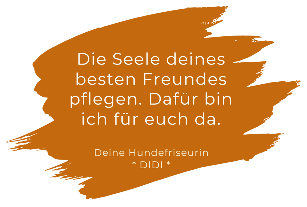 Eine Grafik mit Zitat von DIDI über die Seele des Hundes